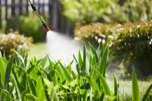 24/7 Emergency Mosquito Control experts in Wahiawa, HI