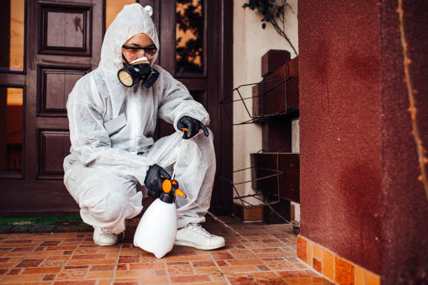 Reliable Mosquito Control contractor in Wahiawa, HI by Nex Pest Control
