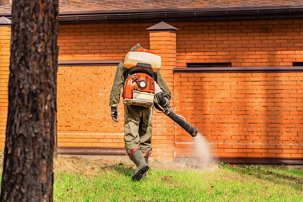 Trusted Termite Control service in Wahiawa, HI - Nex Pest Control
